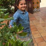 ساره آذر فر “چرتکه”
